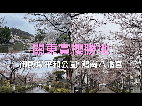 [4K] 2024 Tokyo Sakura Season. Viewing cherry blossoms and mount Fuji. Shooting date: 4/3