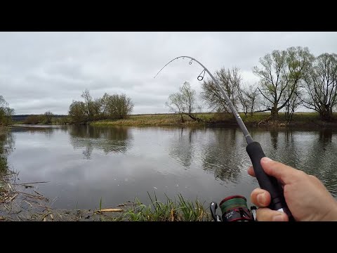 ТАК Поймает КАЖДЫЙ! Секреты Ловли: Как ЛОВИТЬ на ПОРОЛОНКУ?!