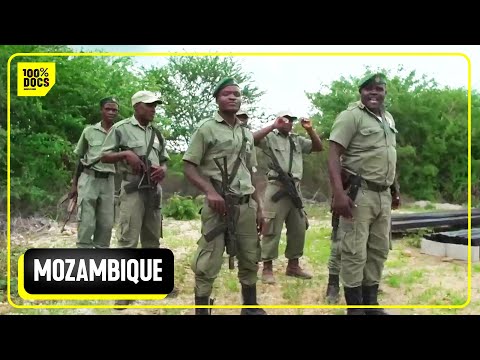 IMMERSION IN THE FIGHT AGAINST BRACONNIERS