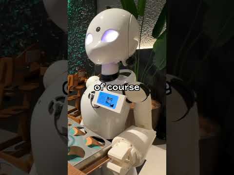 Japan's Best Robot Restaurants