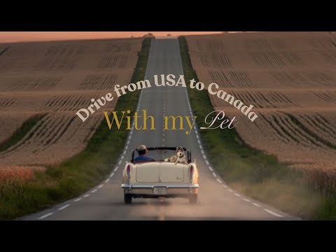 Long-Distance Road Trip: Weather Adventures + Pet in the Back Seat