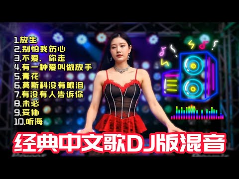 【国语歌DJ】经典歌曲DJ版混音 舒服的节奏 车载酒吧舞厅必听 DJ打碟实录 Chinese DJ Song REMIX.VOL.23