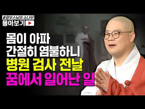 "살면서 해결 못하는 고난을 만났을 때 해야할 일?" 지금 바로 기도하자! 불보살님 가피는 지금 이 순간도 현재진행형! [초심으로 돌아가는 광우스님의 소나무 시즌3 몰아보기]