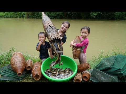 How to catch and trap fish on rainy days to sell at the market with my little daughter