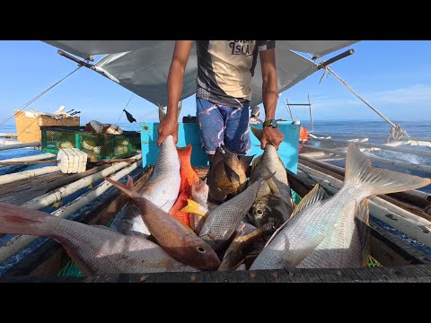 KITANG D' LUBID | May nahuli kami na bibihira lang namin makita