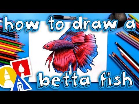 How To Draw A Realistic Betta Fish (Siamese Fighting Fish)