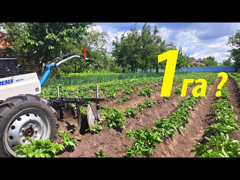 Self-propelled disc hillers for walk-behind tractor. We work while resting.