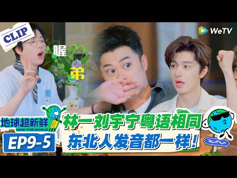【地球超新鲜】EP9-5：东北人讲粤语成未解之谜！怎么做到一模一样的？#地球超新鲜 #孙红雷 #李乃文 #陈赫 #刘宇宁 #龚俊 #陈星旭 #王玉雯 #欧阳娣娣