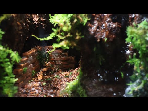 Creating a frozen-in-time ruin landscape | Paldarium