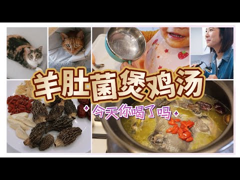 小孩喝光光的羊肚菌雞湯｜广东家庭煲湯的日常