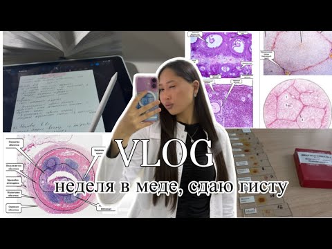 VLOG | Как проходит подготовка к гистологии? | студент СамГМУ