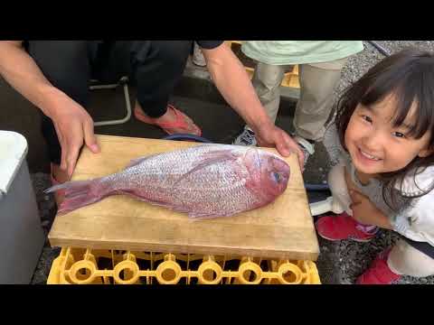 夕食ライブ 2026.2.15 真鯛