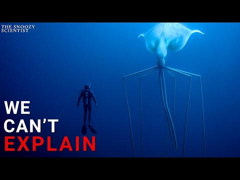 Why Deep Sea Creatures Get Stranger the Deeper You Go