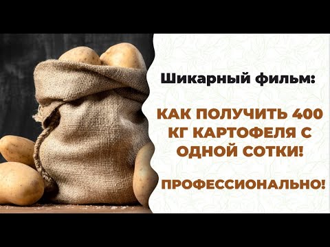 Вкусный, суперполезный картофель может вырастить каждый! Смотри фильм