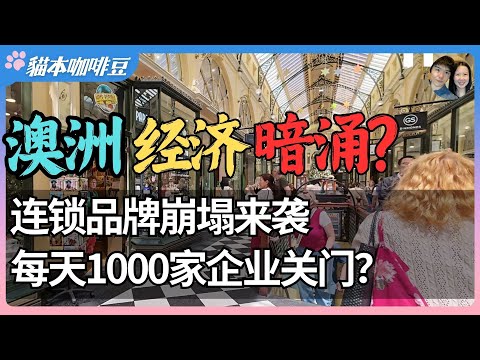 圣诞前夕，澳洲连锁药房和珠宝品牌进入破产重组？54家药房被接管，连珠宝品牌都撑不住了 | 2025年澳洲关店数量创下新高，每天超过1000家企业倒闭？| 澳洲与新西兰移民生活深度分享 | 猫本咖啡豆