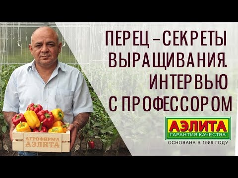 Peppers – Growing Secrets. Expert Advice