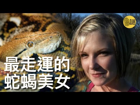 時年29歲的Ben是養蛇圈裡的名人 他養了一輩子的蟒蛇 但是卻不知道其實在他的身邊 還有著一條劇毒無比的蛇........