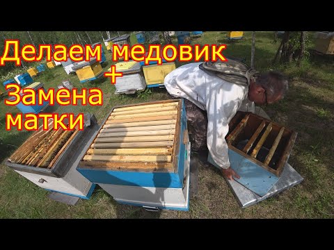 ДЕЛАЕМ МЕДОВИК + ЗАМЕНА МАТКИ на главном взятке