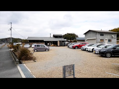 Japanese Noodles Udon Soba | Busy With Orders! | Hurry Up And Get in Line! | Huge Prawn Tempura