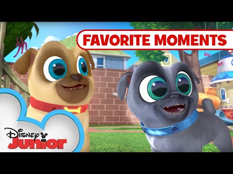 Puppy Playcare Part 2! 🐾 Compilation | Puppy Dog Pals | Disney Junior