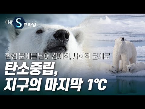 [다큐S프라임] 탄소중립, 지구의 마지막 1℃ / YTN 사이언스