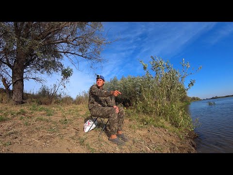 ДЁРГАЮ РЕЗИНКУ НА СУДАКА, а РЯДОМ КОЛОКОЛЬЧИКИ ЗВЕНЯТ. Сазан на закидушку. Судак на резинку.