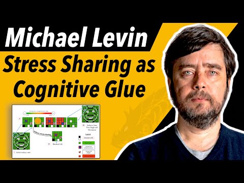 Unlocking Morphogenesis: How Stress Shapes Collective Intelligence