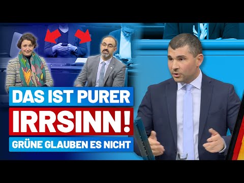 Das ist an sich nichts anderes als die Definition von purem Wahnsinn. - Raimond Scheirich - AfD-Frak