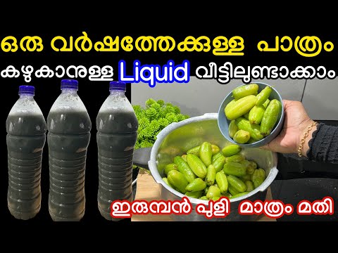 ഒരു വർഷത്തേക്കുള്ള പത്രം കഴുകാനുള്ള ലിക്വിഡ് വീട്ടിലുണ്ടാക്കാം ഇരുമ്പൻ പുളി മാത്രം മതി