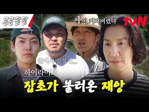 할 일이 계속 쌓이는 농사의 세계｜몰래 온 손님 차태현과 대놓고 온 손님 잡초의 반란 #highlight #콩콩팥팥 #콩심은데콩나고팥심은데팥난다 EP.6