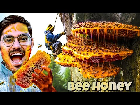 Dangerous Bee Hive Exploration Adventure🥵 Bees attack dangerously Do Not Try