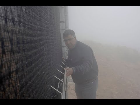 The art of catching fog