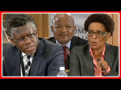 Advocate Sello Not Happy With ADV Ngcukaitobi Questions To Minister Senzo Mchunu “Inconsistency”
