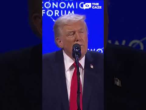 Cooperation between Ukraine, the EU, and the US in several key areas: which ones exactly? #shorts