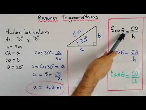 Ejercicio de Razones Trigonométricas - Trigonometría