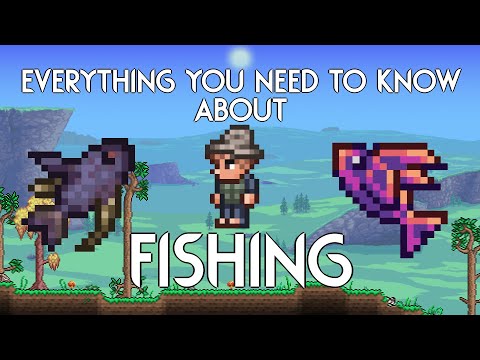 The Comprehensive Guide to Fishing
