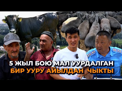 Мал жоголот, ууру табылбайт/ Кармалса жазаланбайт/ Ноокендеги элдин арыз-муңу