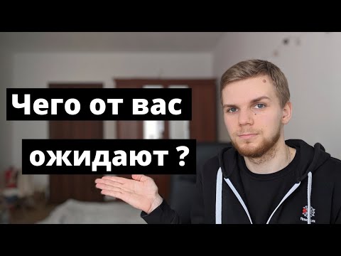 Junior и испытательный срок на первой работе