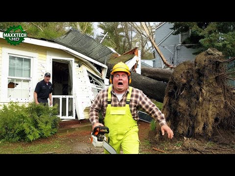 Man Almost DIES While Cutting A Tree | Tree Cutting Fails & Tree Falling on Houses Compilation #2