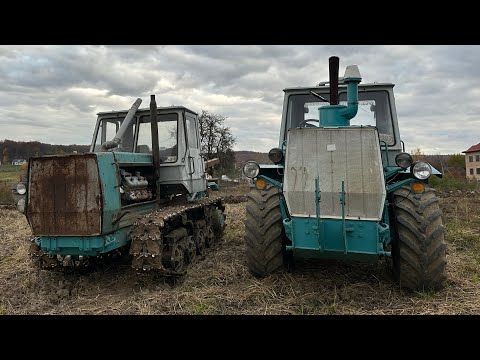 Це точно треба дивитись 😉