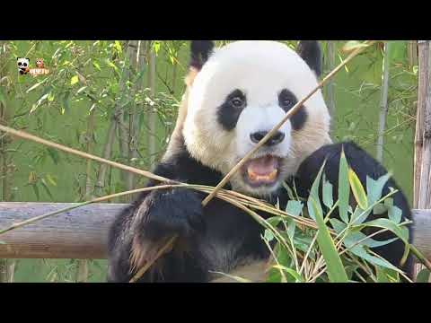 ๐20251129 ๐ฆํ๋ค์๋ ์์๋ชจ์๐ฆ๐๋ฏธ๋จ๋ฐฐ์ฐ ๋ฌ๋ฐ์น ์ด์ ์ง๊น์ง, ํ๋ ๋ฐ๊ฒฝ์ด ์ปค์ง ์์ด๋ฐ์ค, ์ฌ์ ํ ๋ถ๊ฒ ๋น๋๋ ๋ ๋ชฌ๐ ๐ผ๋ฌ๋ฐ์ค๐ผ์์ด๋ฐ์ค๐ฆ๋ ๋ชฌ๐