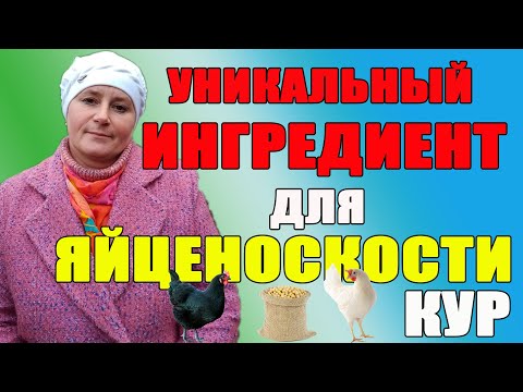 Уникальный ингредиент для яйценоскость кур.
