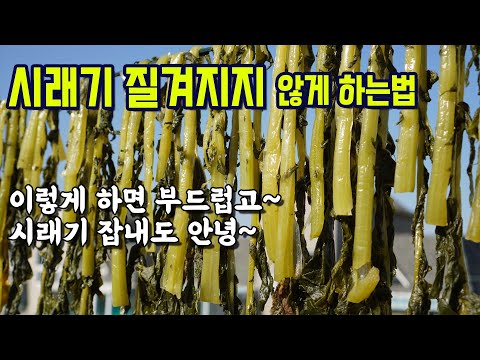 [무청시래기] 소다 넣지마세요. 이렇게 말리면 절대 질기지않아요. 삶는법과 건나물 말리는 법 공개, 시래기 말리는 법, 시래기 삶는 법, 시레기 데치기
