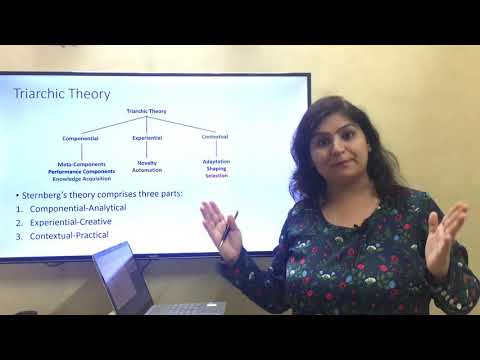 Robert Sternberg's Triarchic Theory of Intelligence - Part 1