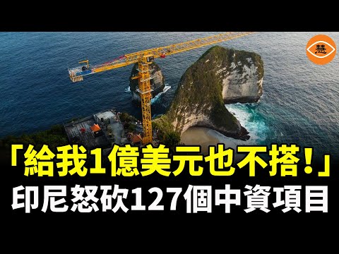 印尼怒了！「給我1億美元也不搭！」，怒砍127個中資項目：「別再搞這些豆腐渣！」