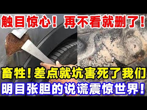 触目惊心！再不看就删了！畜牲！差点就坑害死了我们，明目张胆的说谎震惊世界！#特斯拉 #比亞迪 #汽車俱樂部