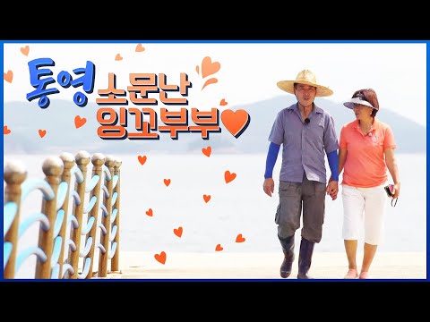 욕심 안부리고 용왕님이 딱 주신만큼만 잡아서 먹으면 되죠~ 우리집 냉장고는 없는게 없는 추도 시장이에요 ㅎㅎ #잉꼬부부 #통영 #추도 [4K]