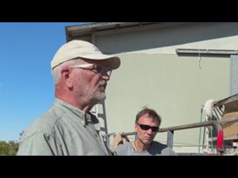 What is a kumquat anyway?