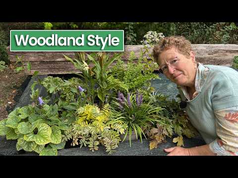 10 Shade Loving Perennials to Create a Woodland Garden Effect