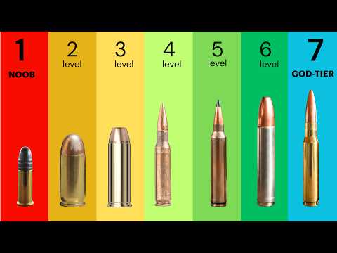 7 Levels of Gun Cartridges Explained
